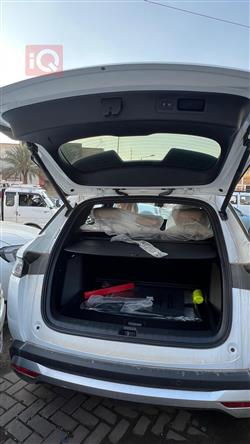 بي واي دي سونغ L DM-i